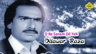 Dilawar Raza | O Re Sanam Dil Yeh | Pakistani Regional Song