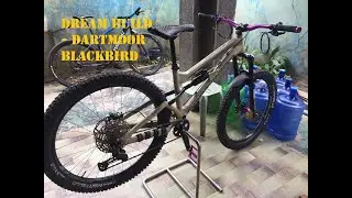 Dartmoor Blackbird 2020 (sandstorm)