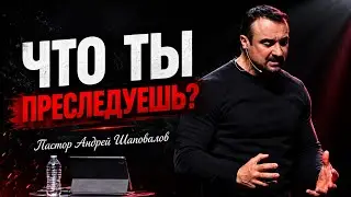 «Что ты преследуешь?» Пастор Андрей Шаповалов