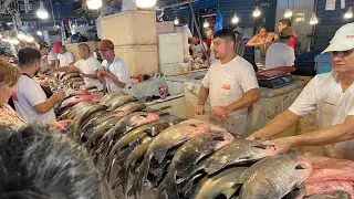 Farturas do imenso Amazonas na feira de peixes frescos #manausamazonas #amazon #fishing #pescaria