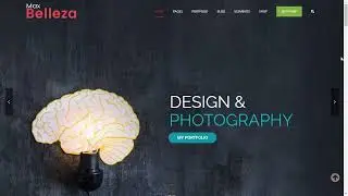 Multipurpose Responsive WordPress Themes - BUSINESS