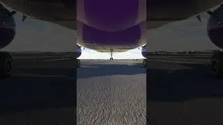 the plane hit a storm and made an emergency landing EPs267