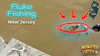 My Local Spot Always Got me Something In NJ #fishing #flounderfishing #flukefishing