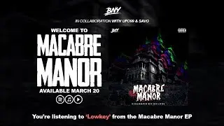 BNY - LOWKEY (Official Audio)