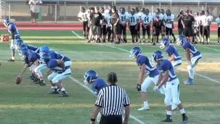 Green Valley Gators