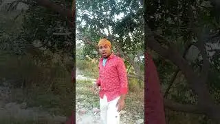 বিড়ালটি কিভাবে তার শত্রু কে ধরল। #shorts #viral #comedy #funny #animals #amazing #hen #cat #eeg