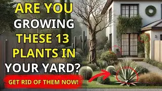 Check Your Garden Now: These 13 Plants Are Destroying Your Wealth and Luck!
