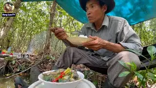 ស្ងោរជ្រក់ត្រីក្រាញ់ផ្លែស្វាយក្នុងព្រៃលើដីកោះ FIND FISH IN FOREST ON ISLAND HIGH QUALITY 4K VIDEO