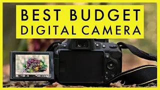 Best Budget Digital Camera in 2021