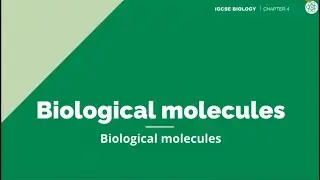 Biological Molecules | IGCSE Biology | Topic Explainer - ZNotes