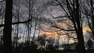 Misty Winter Forest Hike - timelapse & cinematic footage