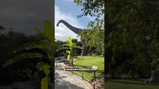 📍O maior parque tem&aacute;tico de dinossauros da Am&eacute;rica Latina @alchymistprehistoricpark