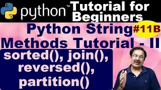 Python Sorted Function | Partition Function In Python | Python 3 Join Function | Python Iterator