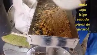 Formula casera para preparar el alimento para gallinas ponedoras Avicultura pienso