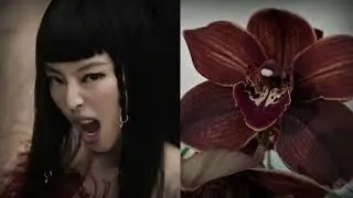 Jennie & Doechii - ExtraL ; but the best part as hot wind blows in the desert