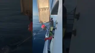 Longline Swordfishing on George&rsquo;s Bank Summer 2020