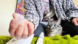 How to brush your cat's teeth! 😺 Cat Dental Health Kit by Well & Good (unboxing) step-by-step guide