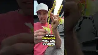 Dynamic Rope vs Quickdraw