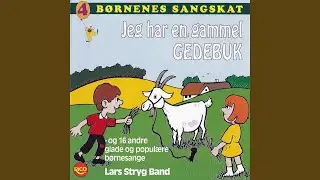 Når jeg får en lille