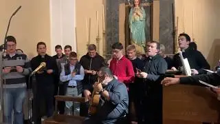 Mayos del Seminario