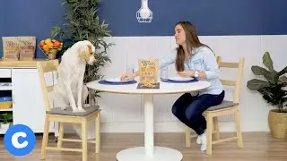 Tylee&rsquo;s Jerky Human-Grade Dog Treats | Chewy