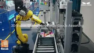 Recab:  Mech-Mind Industrial Camera 3D Logistics solutions - robotics