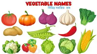Vegetable Names in Bangla | বিভিন্ন সবজির নাম শেখো সহজে | Khela Ghor For Kids