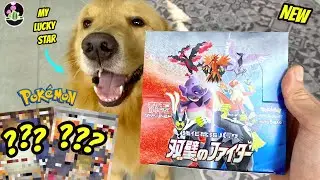 My Best Pok&eacute;mon Matchless Fighters Booster Box Opening! (Future Chilling Reign)