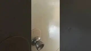 Natural digital light effect on bathroom door