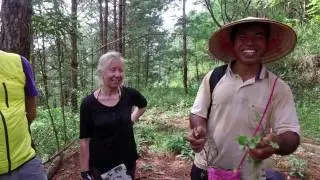 Vietnam Detox Experience