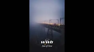 Whitewildbear - Sea ​​of ​​love