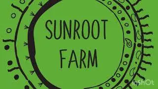 How to cook your CSA - Broccoli and swiss chard salmon croquettes