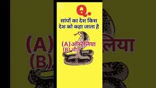 GK Top 20 Questions| GK Quiz | GK In Hindi |GK Questions and Answers |#gk #gkfacts #gkquiz