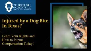 Injured by a Dog Bite In Texas? Learn Your Rights and How to Pursue Compensation Today!