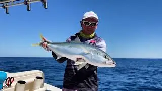 Berserker Chaos jigs catching a Snapper and Kingfish at the same time!