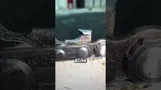 Как правильно наточить цепь бензопилы #ремонт #стройка #лайфхак #сделайсам
