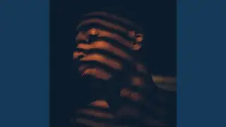MEET THE SUN