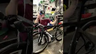 Cervelo S5 Dream Build 😍 #shorts