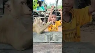 Good Video SokYaa,OG, Pao & Mom Are Famous Around The World #shorts