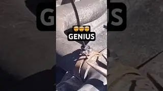 GENIUS DIY Mechanic Hack for Spring Band Hose Clamps Removal #mechanic #shorts #diy