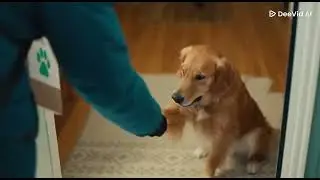 Nice delivery guy gives the owners dog a treat