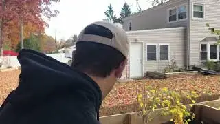 Winterizing the Ornate Box Turtle enclosure