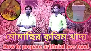 মৌমাছিরা যখন অভুক্ত - How to make honey bees food - Preparation of artificial bee food