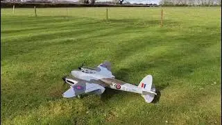 Seagull 80