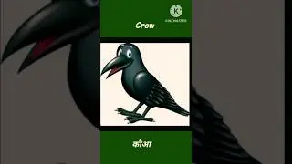 Learning Bird's name in English and Hindi #shortsvideo #youtubeshorts #kidsvedio #viral #shorts