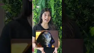 &laquo;Крриш 4&raquo; наконец-то состоится! 😱 | Почему Хритик Рошан может пропустить &laquo;Дон 3&raquo;?