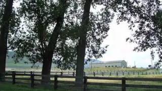 Willow Creek Ranch