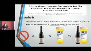 Medical Mythbusters &ndash; Prescription Drugs and Alcohol