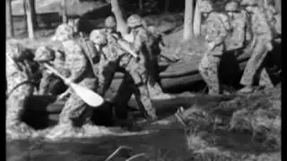 Dogs Train for War WWII