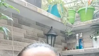 Podando Plantas Del Patio